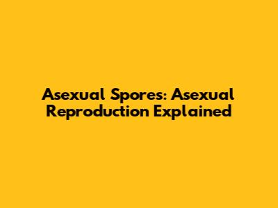 Asexual Spores: Asexual Reproduction Explained